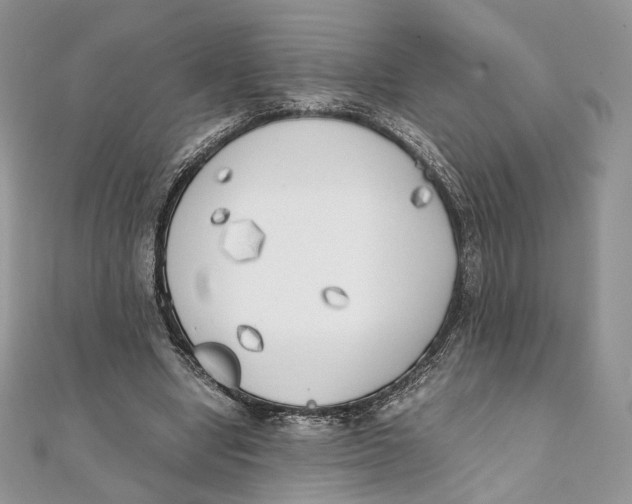 X0000111450442200908031417