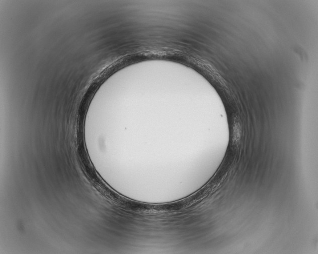 X0000111450444200908031417