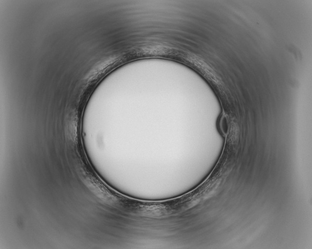 X0000111450446200908031417
