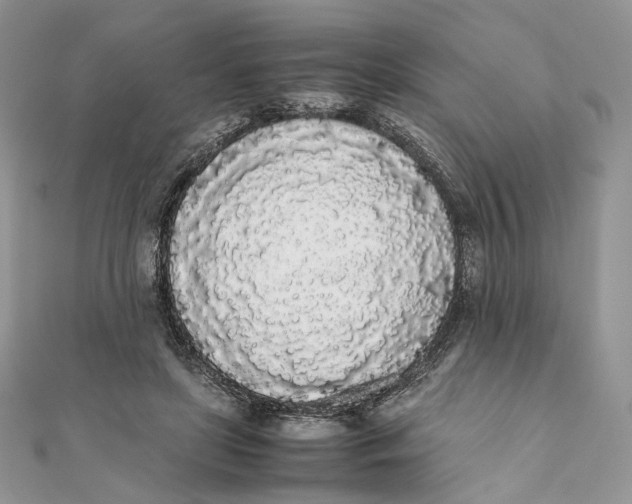 X0000111450451200908031417