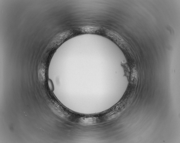X0000111450452200908031417