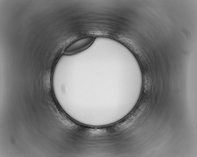 X0000111450453200908031417