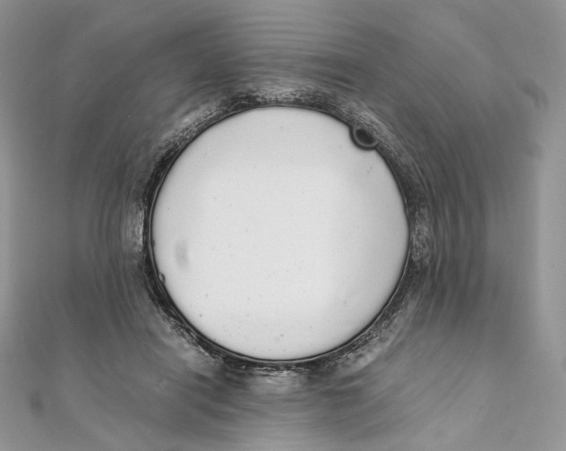 X0000111450454200908031417