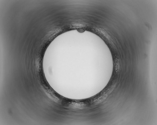 X0000111450455200908031417