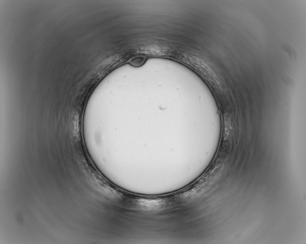 X0000111450457200908031417