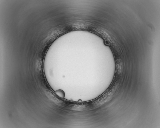 X0000111450458200908031417