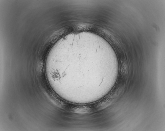 X0000111450459200908031417