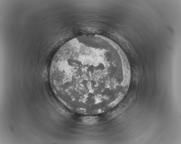 X0000111450465200908031417