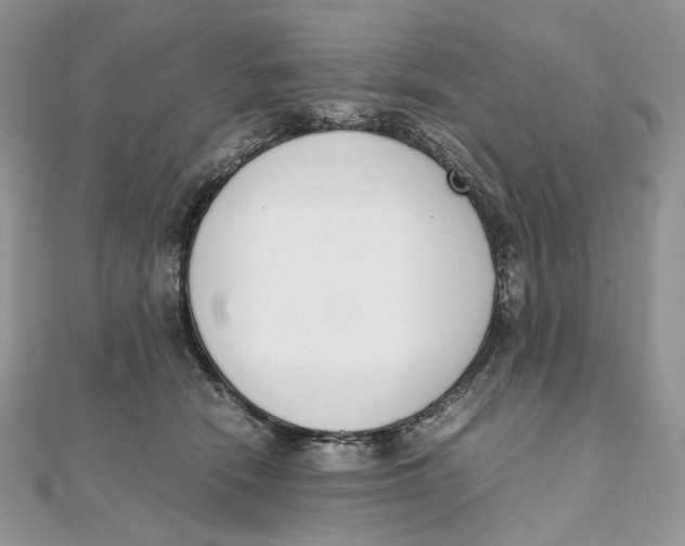 X0000111450466200908031417