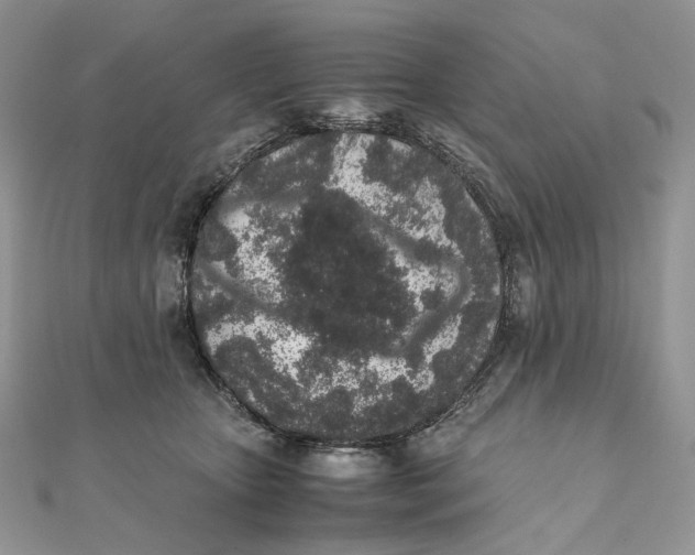 X0000111450467200908031417