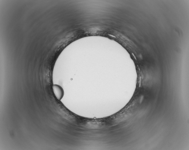 X0000111450470200908031417