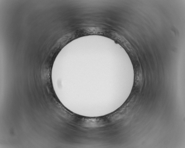 X0000111450473200908031417