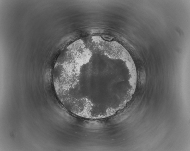X0000111450475200908031417