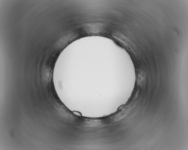X0000111450476200908031417