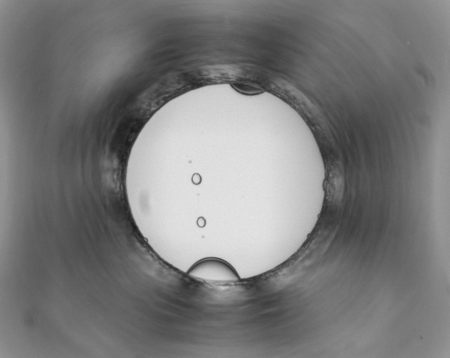 X0000111450477200908031417