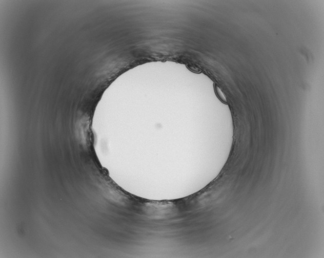 X0000111450480200908031417