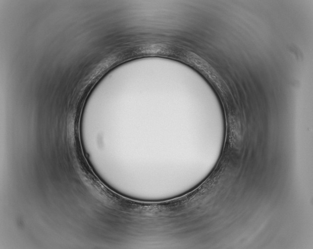 X0000111450482200908031417