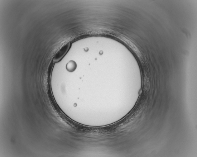 X0000111450485200908031417