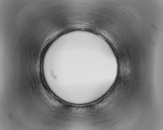X0000111450486200908031417