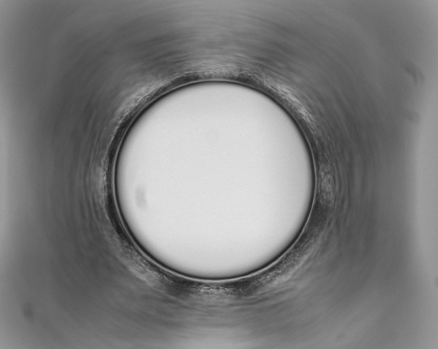 X0000111450487200908031417