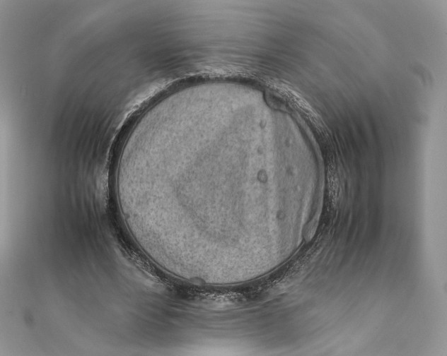 X0000111450488200908031417