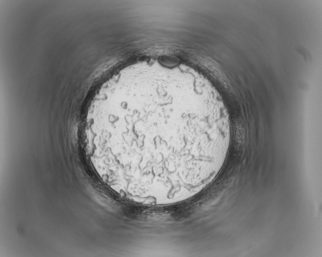X0000111450491200908031417