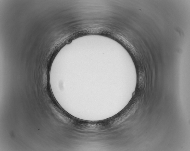 X0000111450493200908031417