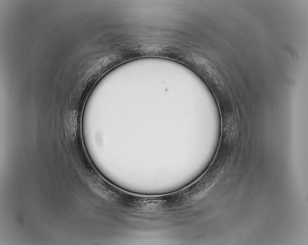X0000111450495200908031417