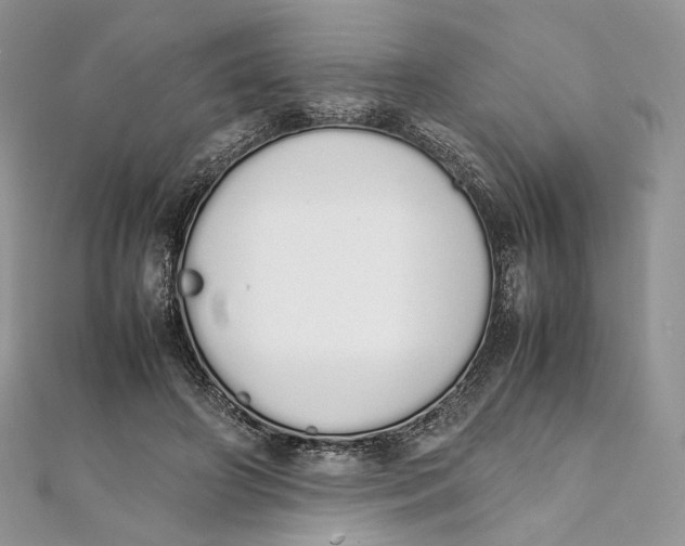 X0000111450498200908031417