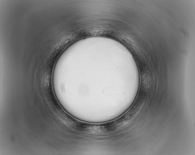 X0000111450499200908031417