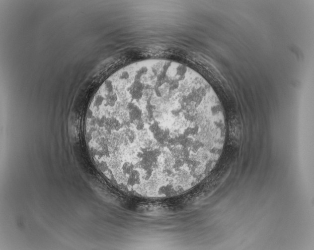 X0000111450503200908031416