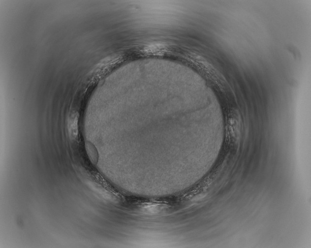 X0000111450504200908031416