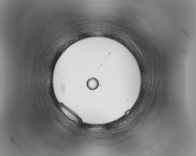 X0000111450505200908031416
