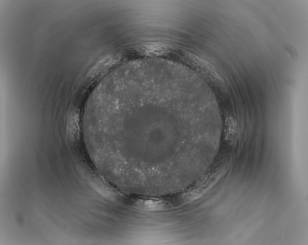 X0000111450506200908031416