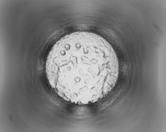 X0000111450507200908031416