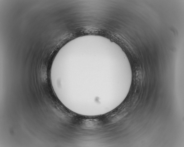 X0000111450508200908031416