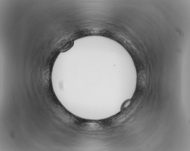 X0000111450509200908031416