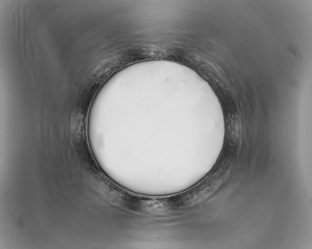 X0000111450511200908031416