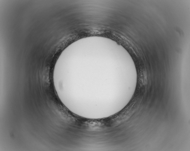 X0000111450512200908031416