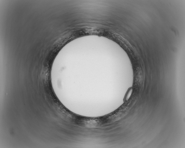 X0000111450513200908031416