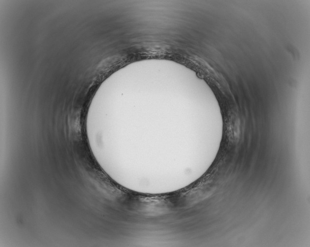 X0000111450516200908031416