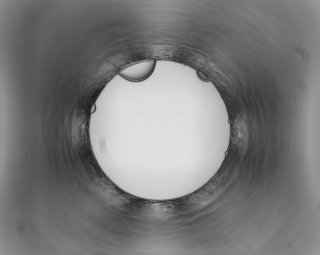 X0000111450522200908031416