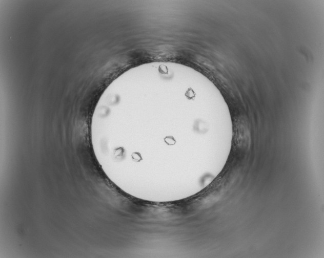 X0000111450523200908031416
