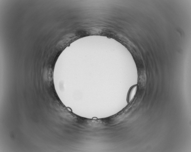 X0000111450525200908031416