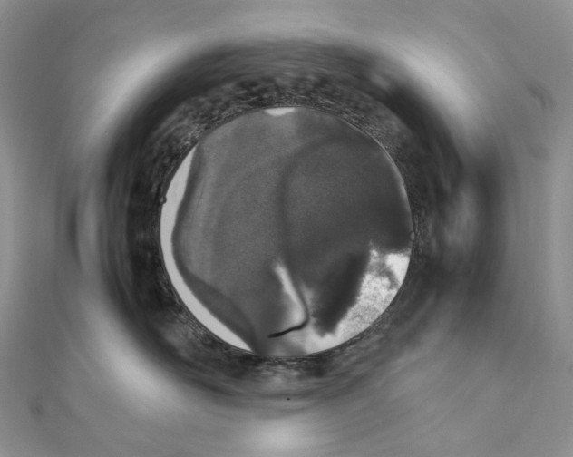 X0000111450526200908031416