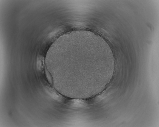 X0000111450528200908031416
