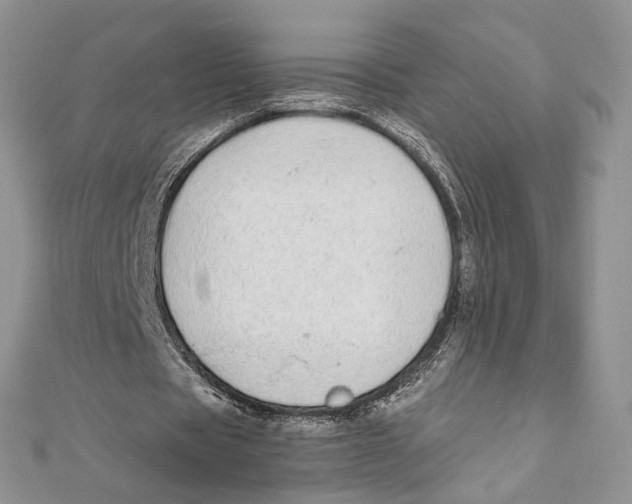 X0000111450529200908031416