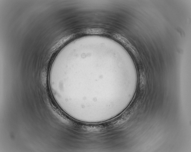 X0000111450533200908031416