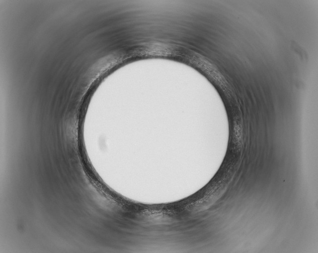 X0000111450534200908031416