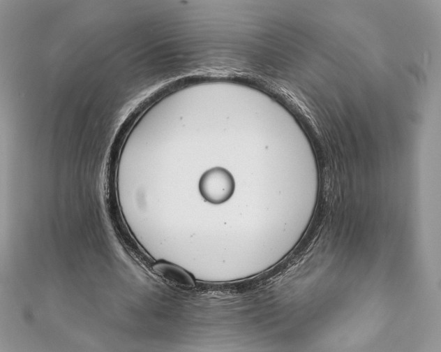 X0000111450536200908031416